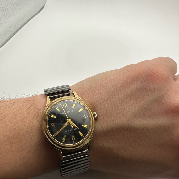 Meet your Posher, Riley - Picture 3 of 7